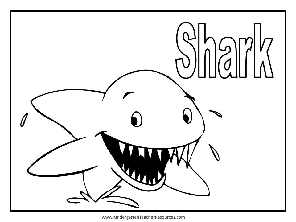 Pics Photos  Shark Coloring Pages Picture