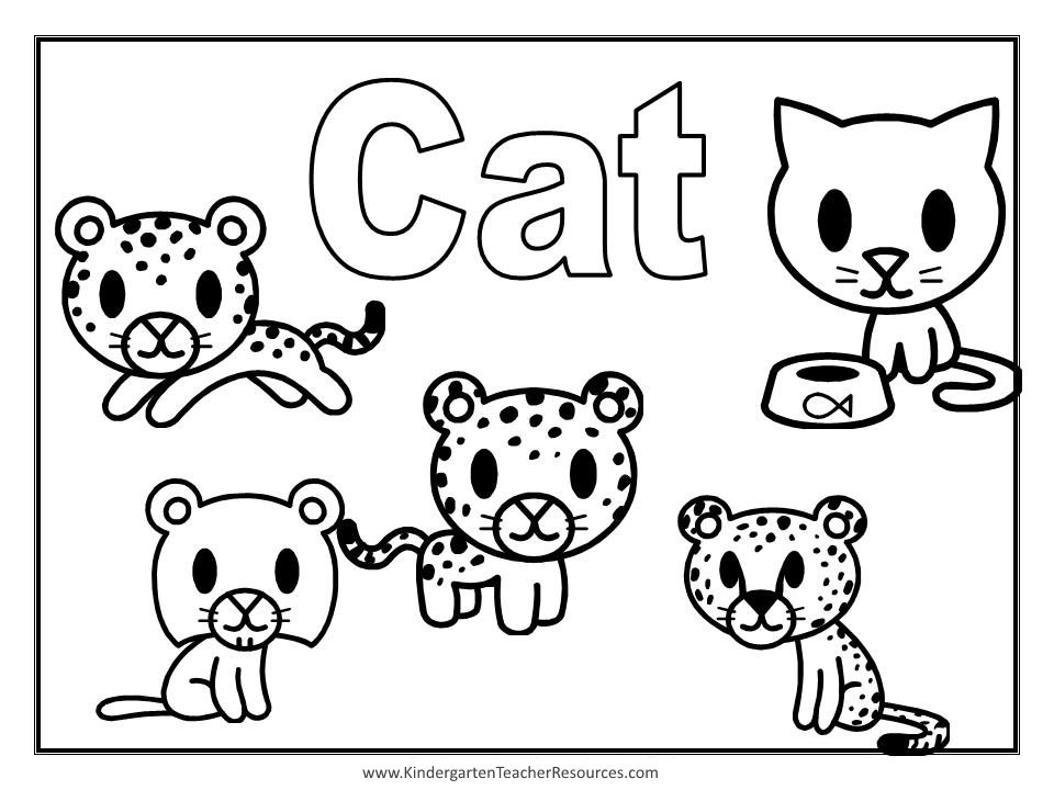 Animal Coloring Pages