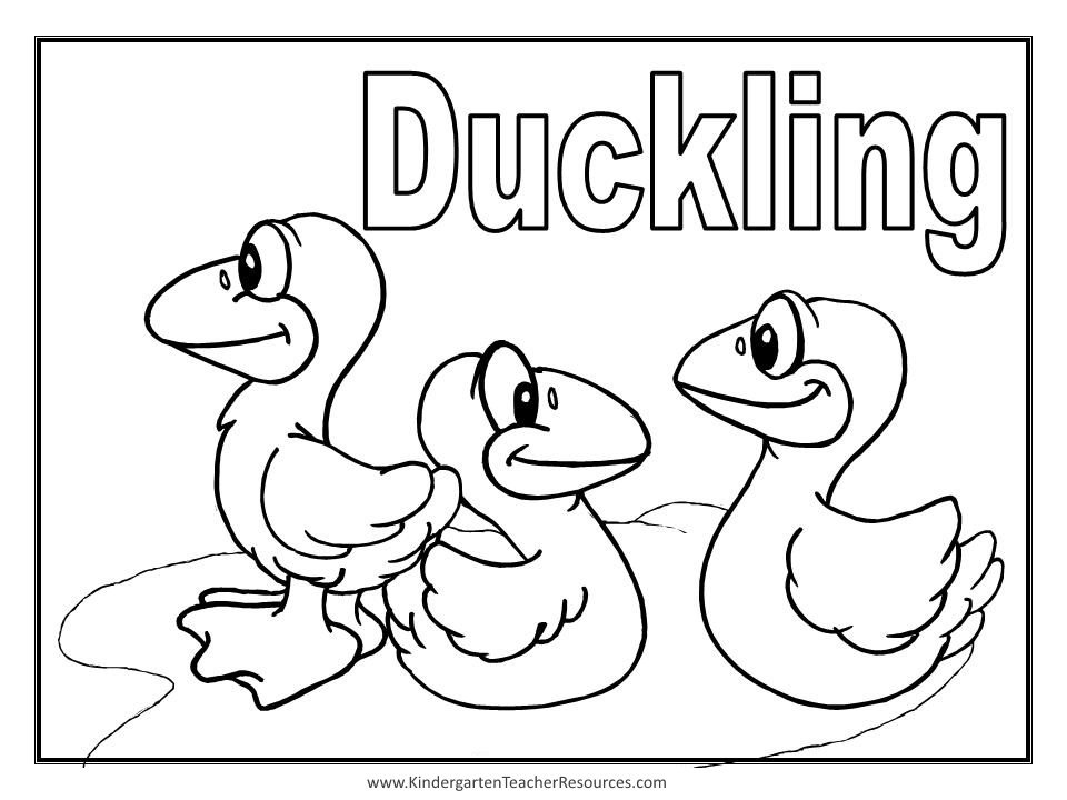 Download Animal Coloring Pages