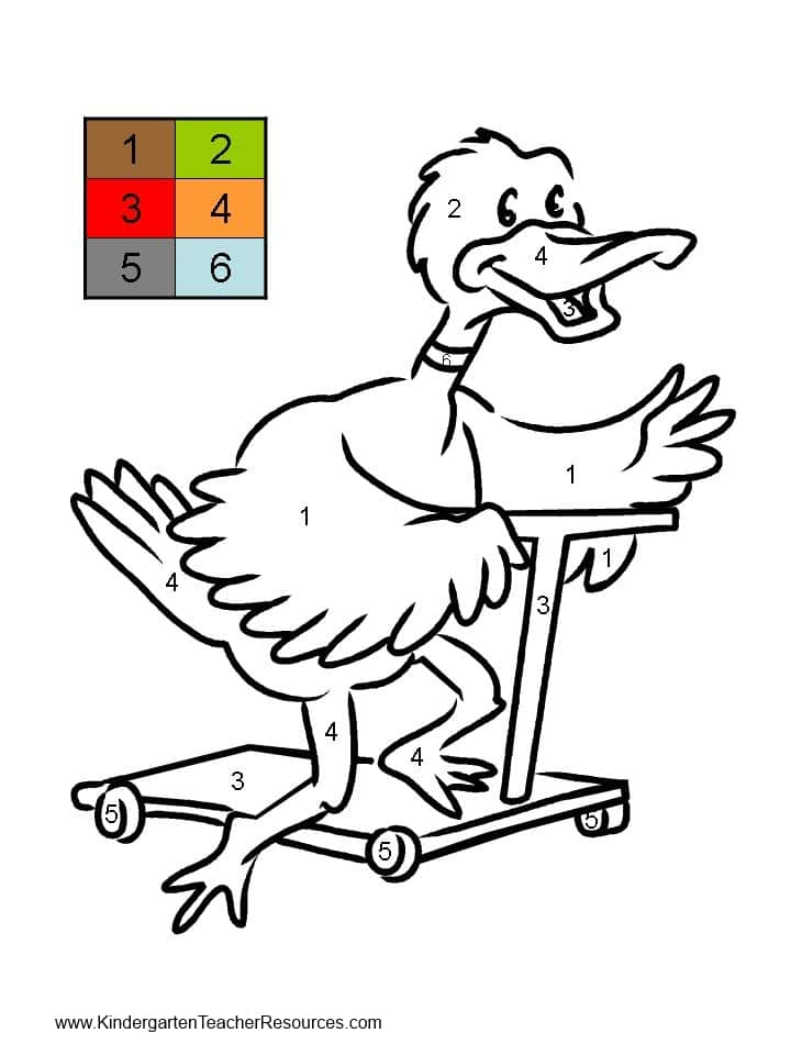 Duck Color By Number Worksheets
