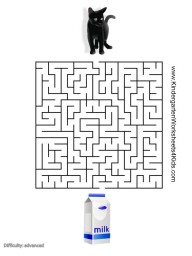 advanced maze