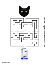 Cat Mazes