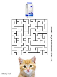 cat maze