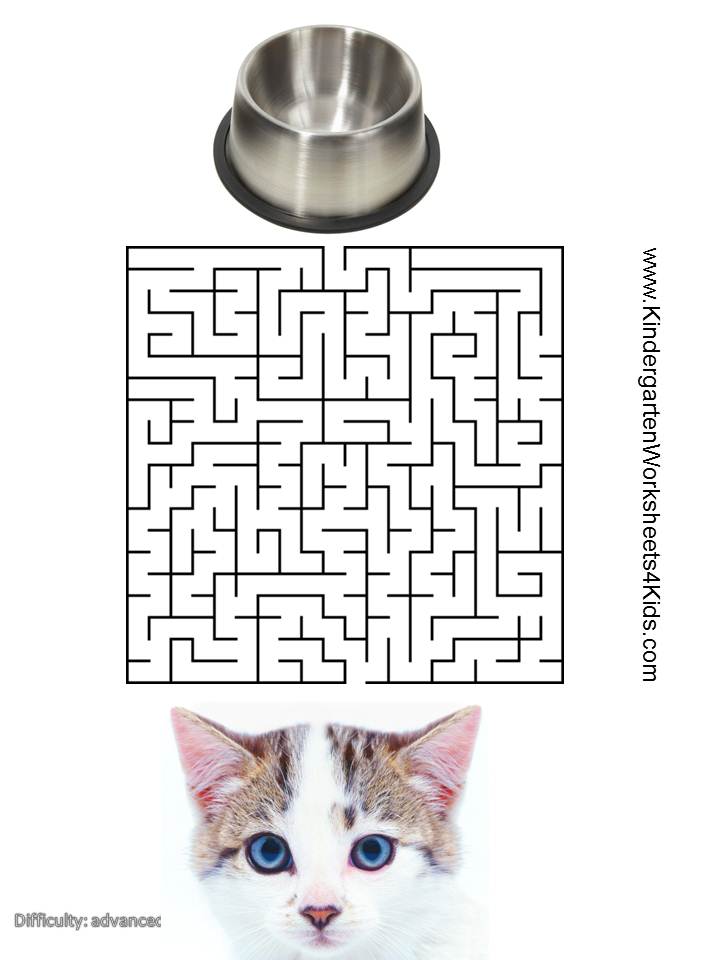 Cat Mazes