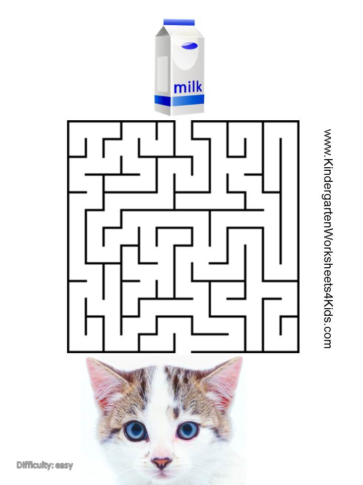 Cat Mazes