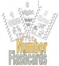 Number Flash Cards