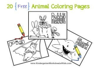 animal coloring book