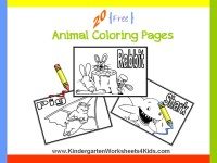 animal coloring book