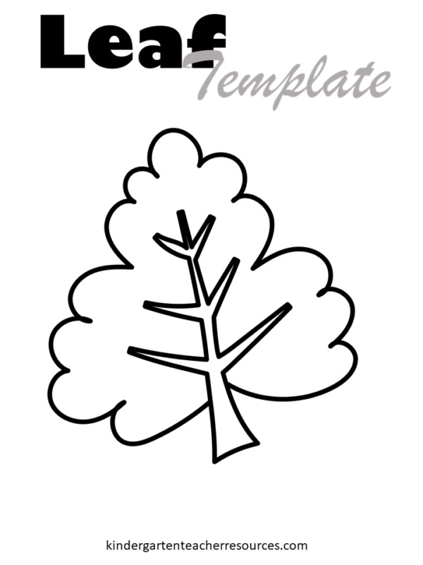 Pretty leaf