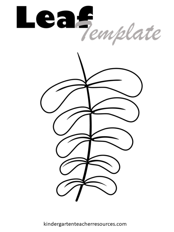 Branch of leaves